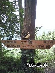 090909_1438~0001 090909_1438~0001