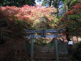 珊瑚寺 稲荷神社