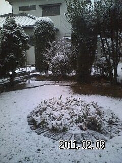 高崎の初雪 高崎の初雪