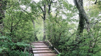 IMG_4715-20-08-19-06-51