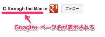 gplus_badge07