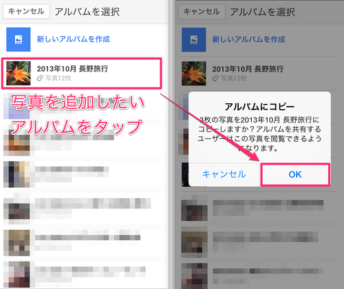googleplus_iphone_album_07