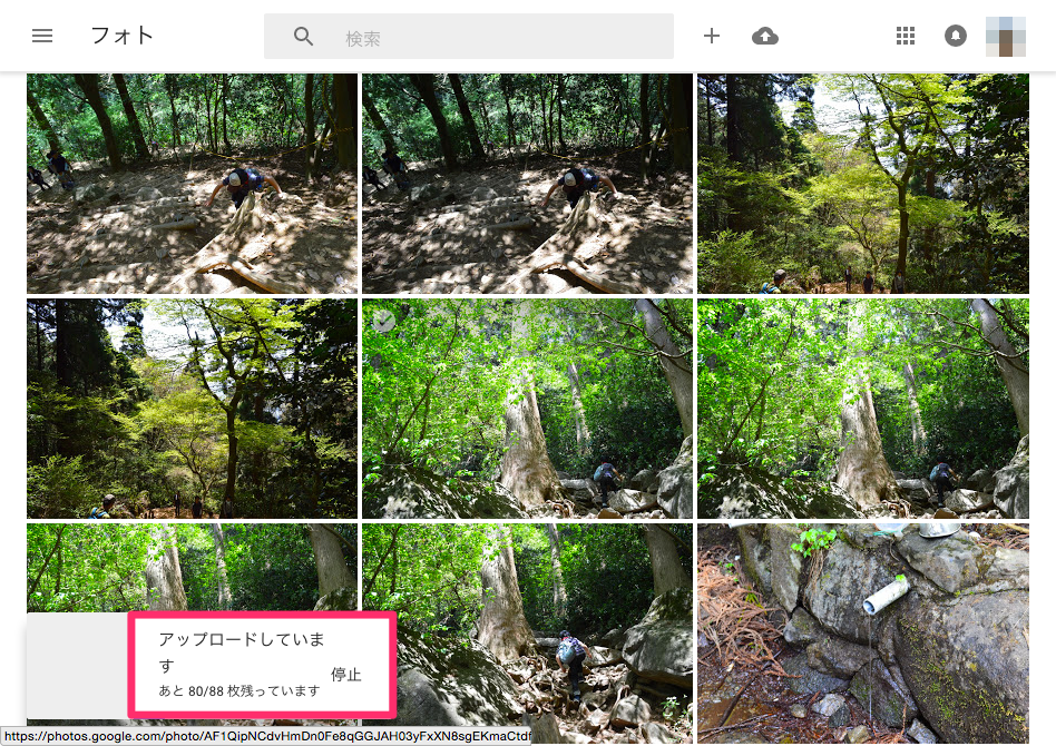 osx_googlephotos_album_03.png Osx googlephotos album 03