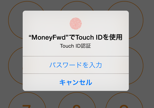 ipone_touchid_add_title