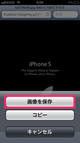 safari_image_save_02