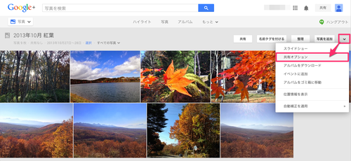 googleplus_album_url_02