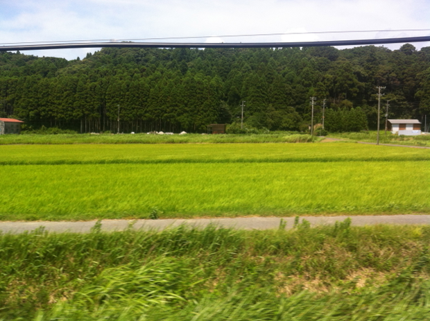 b_ubara01