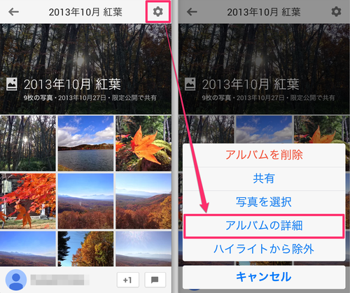 googleplus_album_url_06