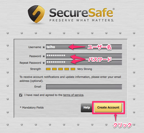 securesafe03_1