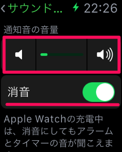 Applewatch sound viv 07