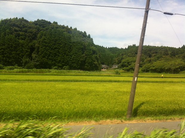 b_ubara02
