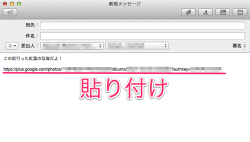 googleplus_album_url_05