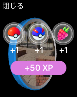 pokemongo_applewatch_purchase_04.png Pokemongo applewatch purchase 04