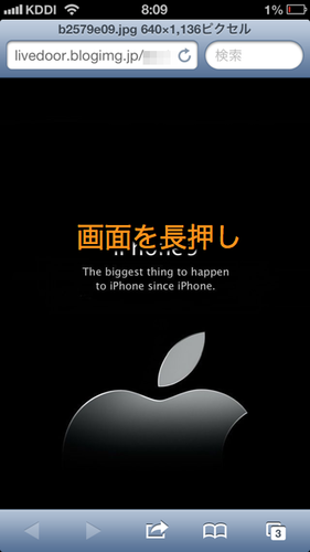 safari_image_save_01