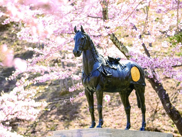 野辺地 花鳥号