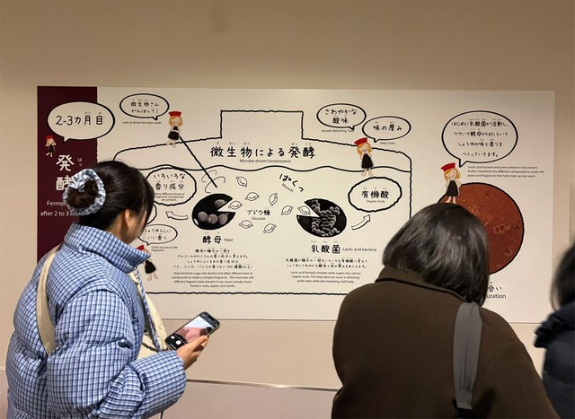 ���줬����ʪ��Ư��