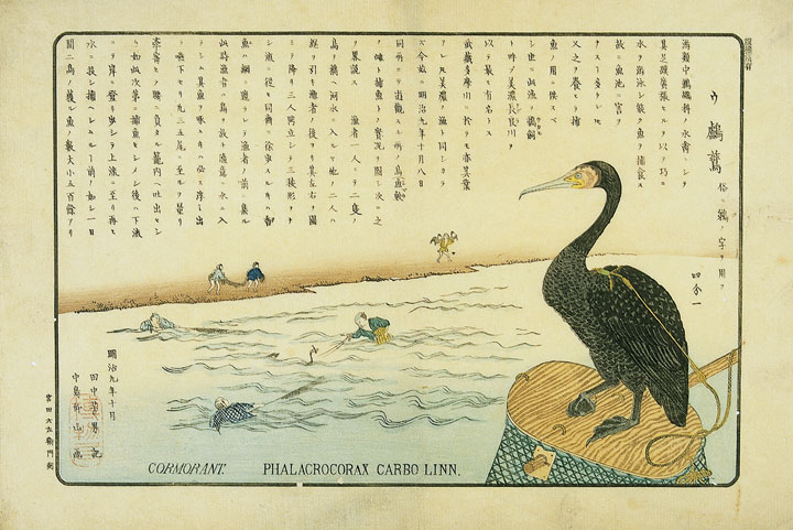 鵜籠の上に鵜がのる岐阜納豆 : 七転納豆