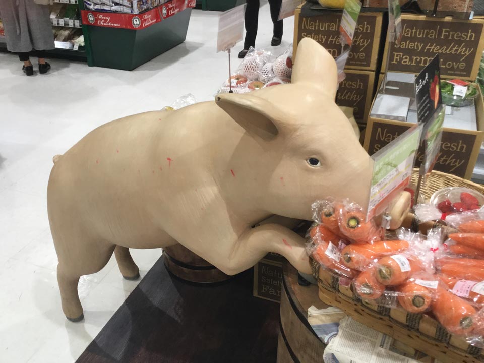 OISIX笹塚のブタに名前がついたという。その名も「ささとん」。 : 七転納豆