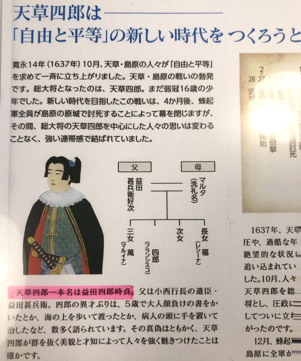 公の場での発言・インタビュー報道記録
