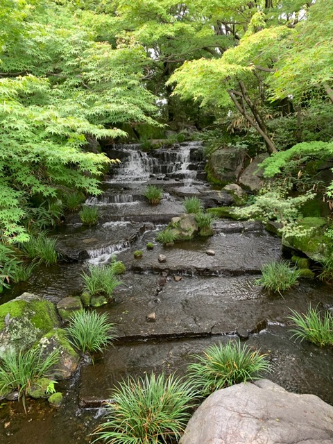 20190714_190715_0051