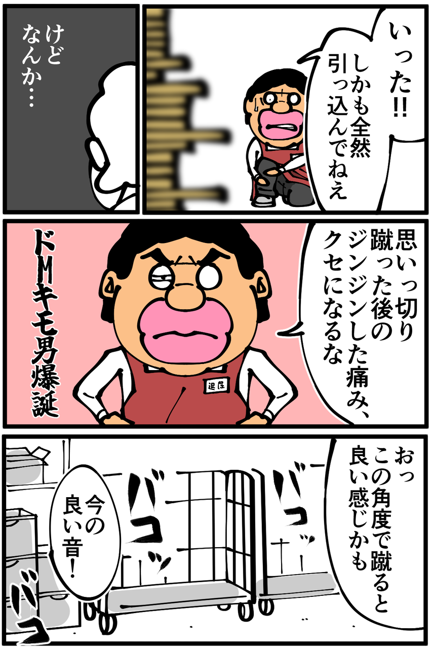 dwb868urzbsm