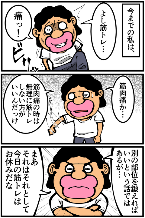 l7311