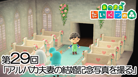 Mediaどうぶつ29