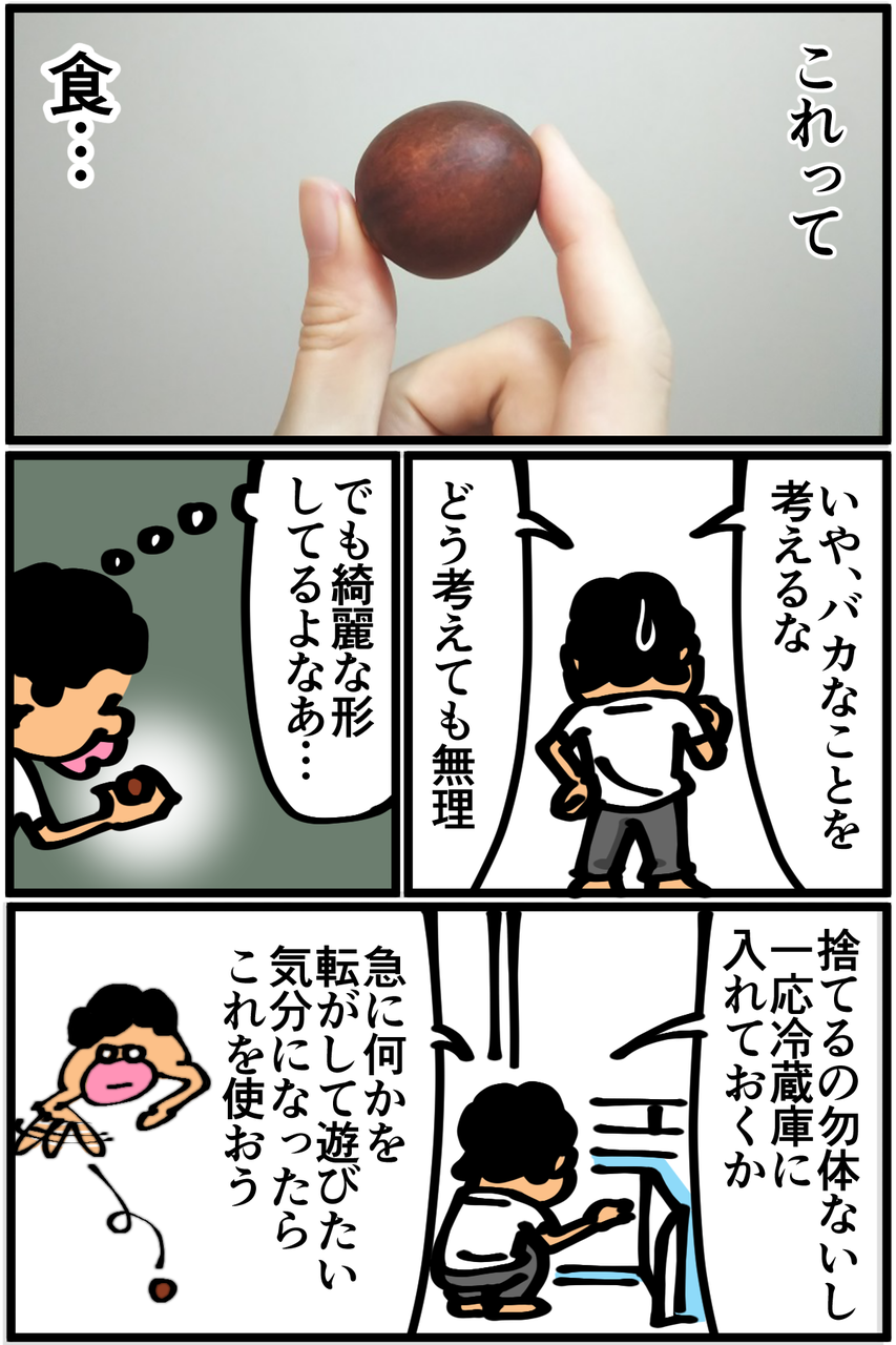 第225話 アボカドの種 底辺絵描き 退屈健の毎日カツカツ生活 Powered By ライブドアブログ