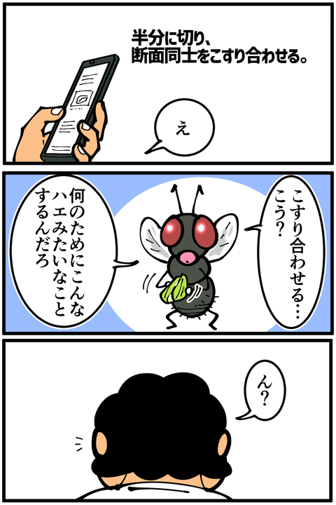 l6544