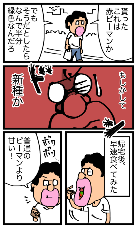image3 (9)