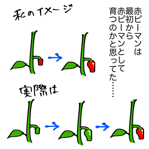 image5 (7)