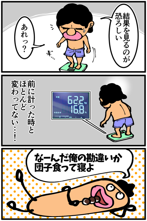 l6337