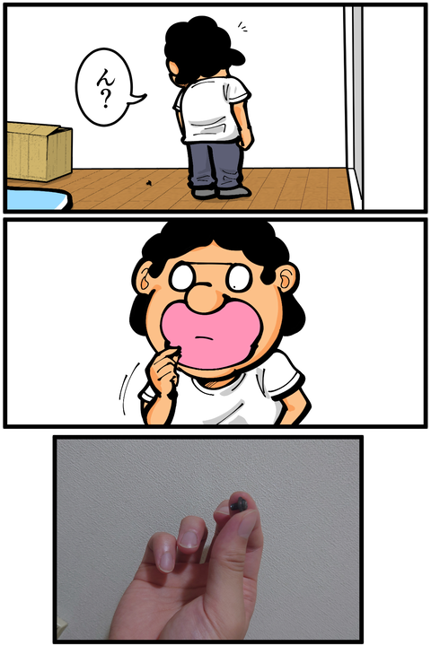 l7876