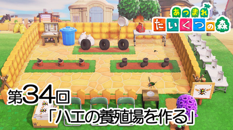 Mediaどうぶつ34