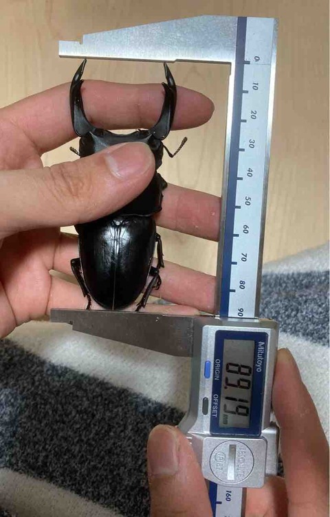 FullSizeRender