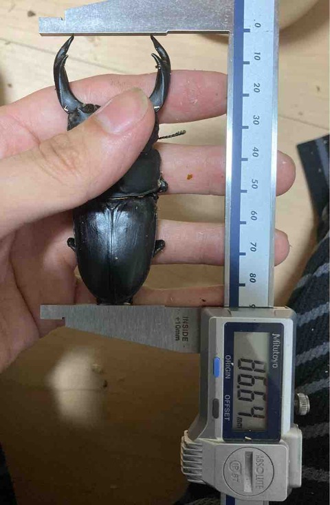 FullSizeRender