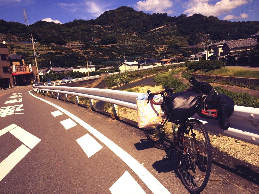 アボカドの橋爪農園はアボカド農家ではなかった 和歌山県海南市 日本一若いいちご農家の奮闘記