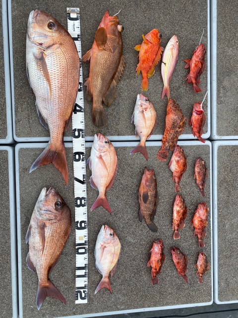 image6