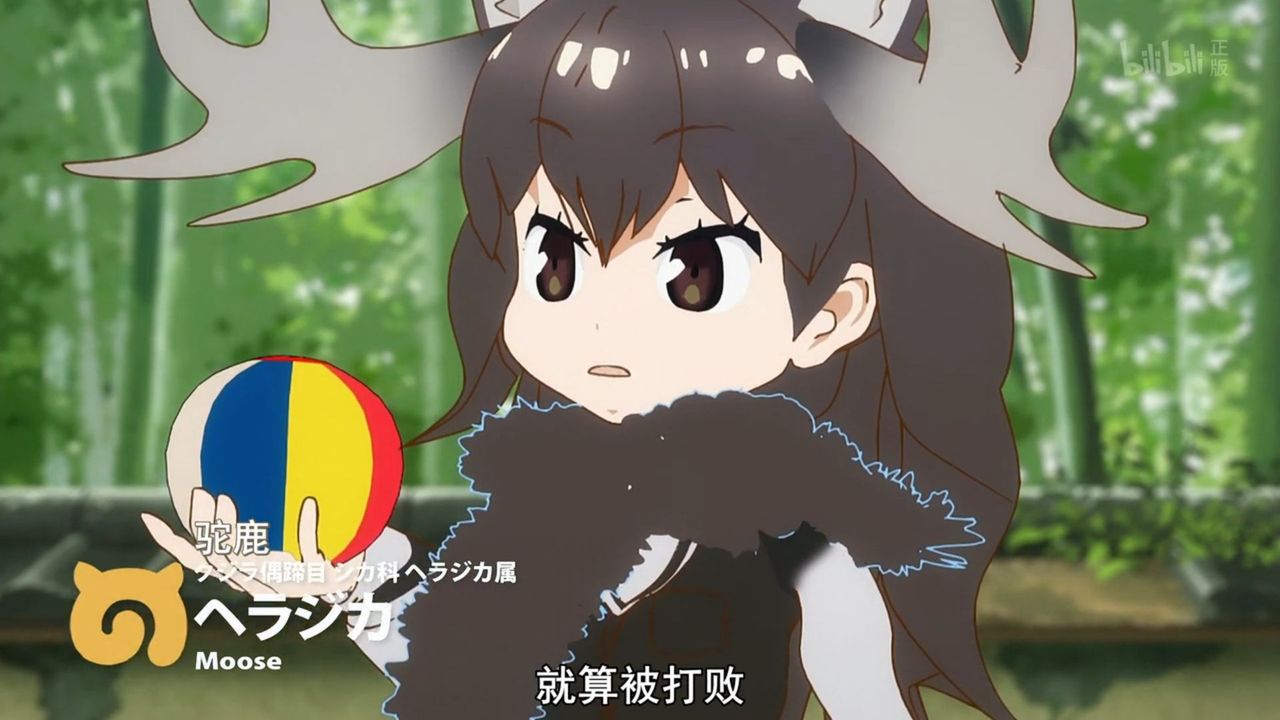 けものフレンズ 第6話 へいげん 中国の反応 大陸の人々 けものフレンズ 第6話 へいげん 中国の反応 大陸の人々