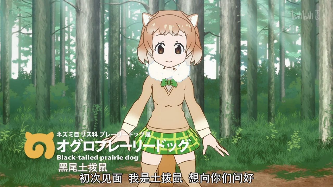 けものフレンズ 第5話 こはん 中国の反応 大陸の人々 けものフレンズ 第5話 こはん 中国の反応 大陸の人々