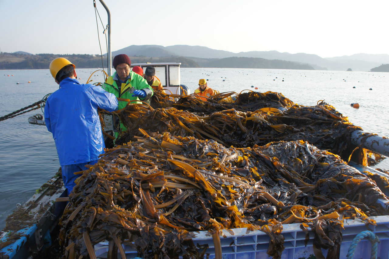 We Are The 大漁プロジェクト公式blog 小網倉浜