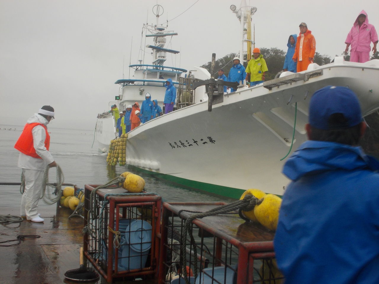 カツオ船団参上 We Are The 大漁プロジェクト公式blog