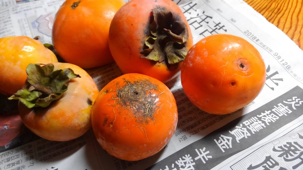 37559718_2114950972086032_9128158169590136832_n