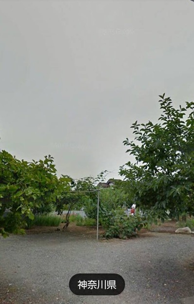 37595597_2114951062086023_1923284181895348224_n