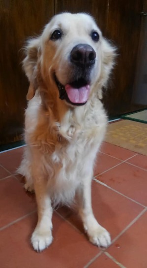 37488081_2114628255451637_2229391813955813376_n