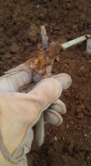 37415436_2114627978784998_5557361748840808448_n