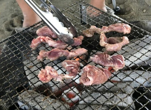 43204203_2178743452373450_487542585540214784_n