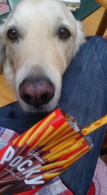 10175019_1432371177010685_3099912591237562335_n