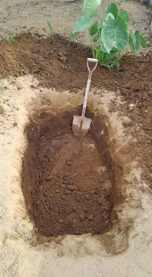 37393438_2114627668785029_3805658057266954240_n (2)