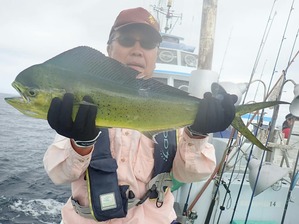 37559718_2114950972086032_9128158169590136832_n